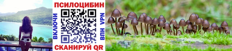 Псилоцибиновые грибы Cubensis  Верхний Уфалей 